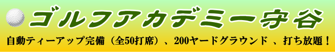 ゴルフアカデミー守谷